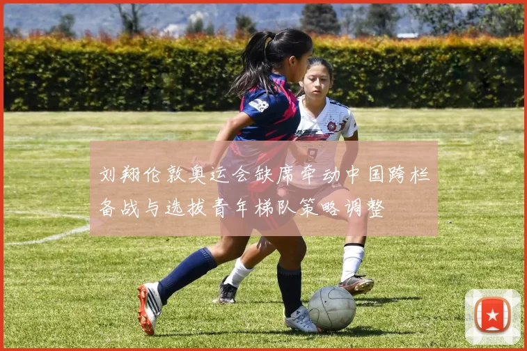 刘翔伦敦奥运会缺席牵动中国跨栏备战与选拔青年梯队策略调整